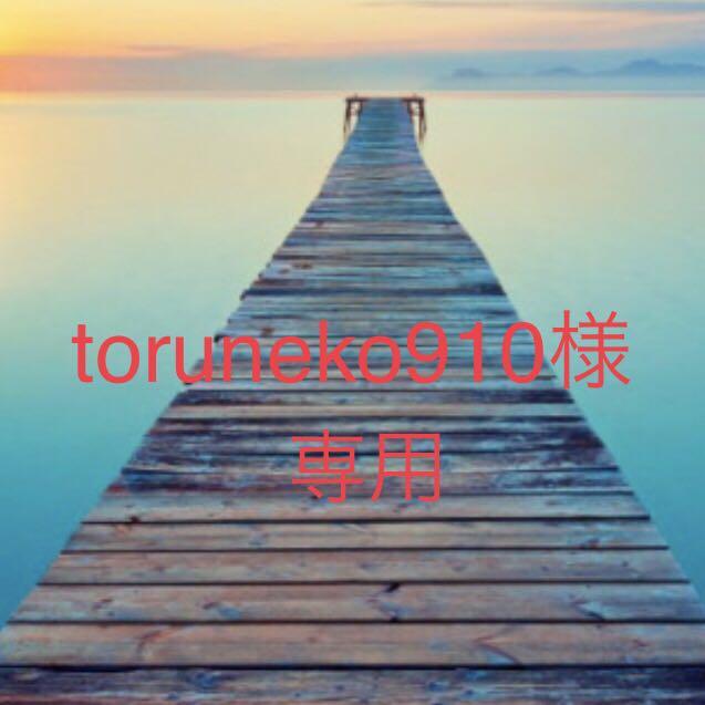 toruneko910