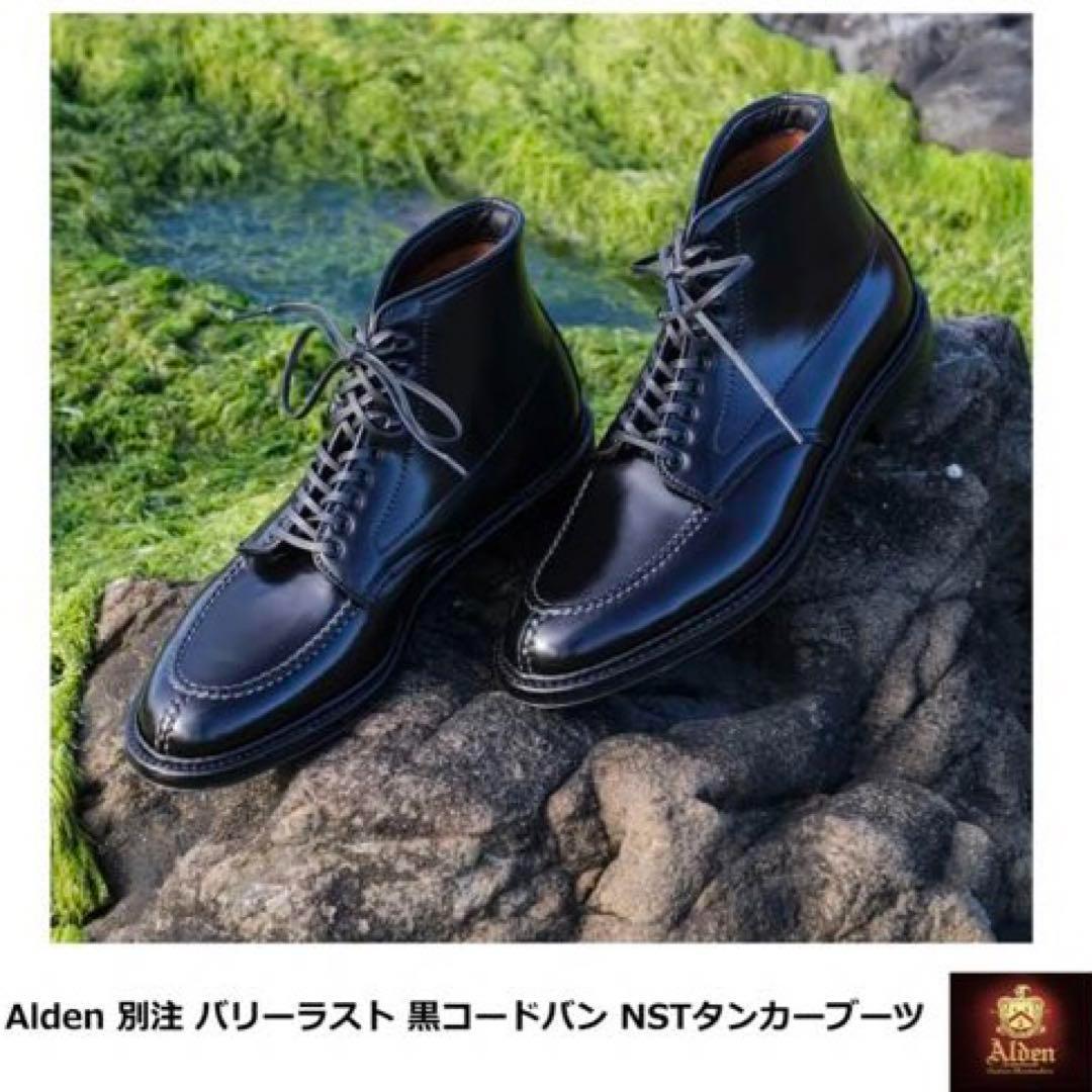 新品未使用 ALDEN NSTタンカーブーツ コードバン 10D D8930HC