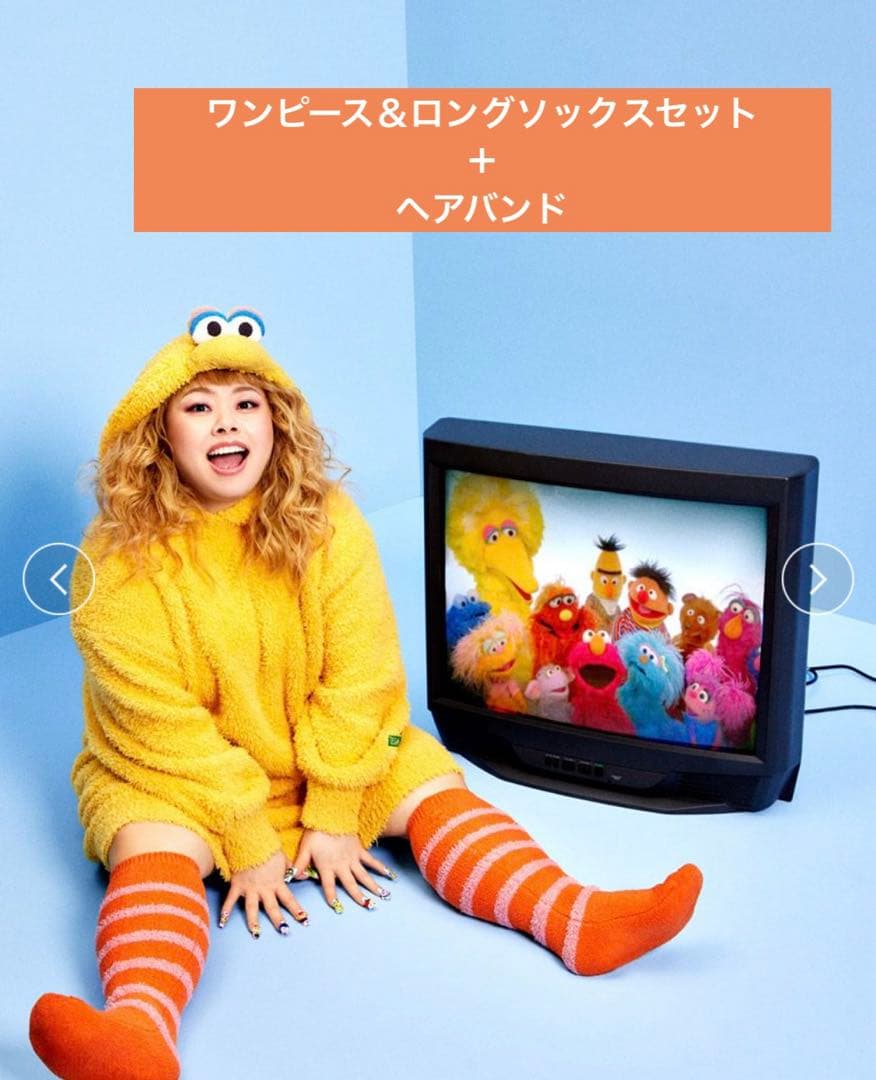 ジェラートピケ ビッグバード 2点 セット セサミストリート