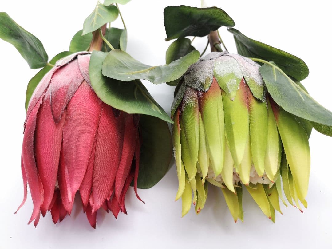 ②キングプロテア  造花＆花瓶 南半球植物 ネイティブプランツ オーストラリア