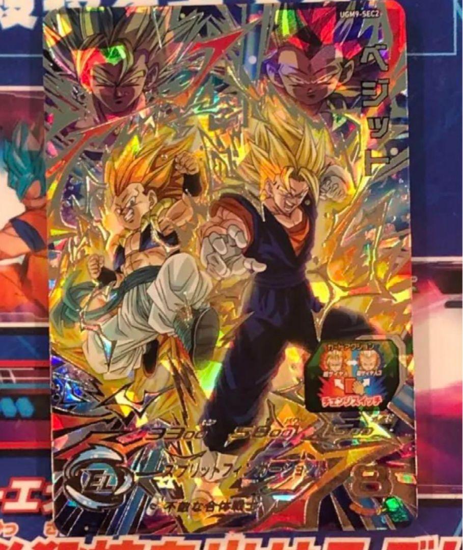 UGM9-SEC2 ベジット