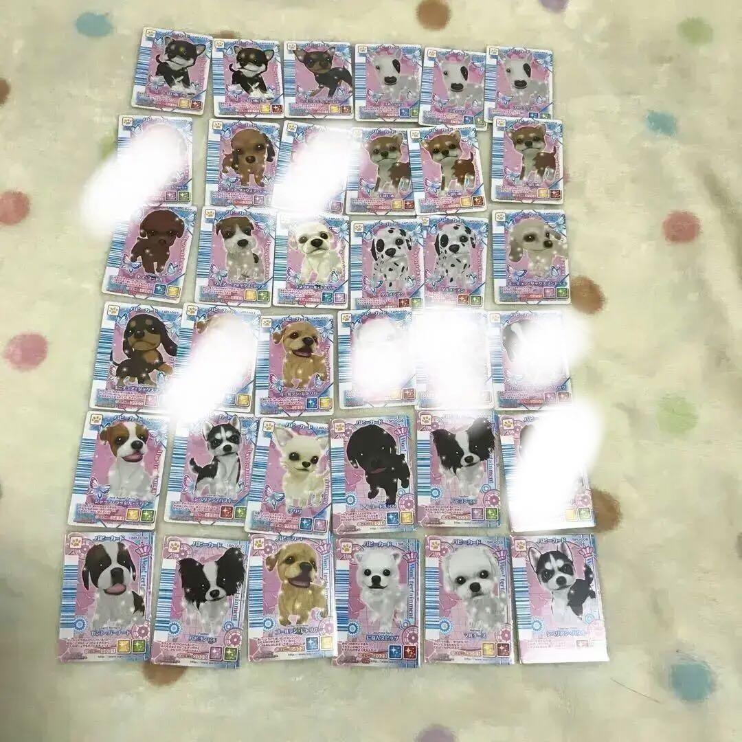 値下げ！ワンタメカード　裏表カード　パピー、ミラクルパワー、おしゃれカード36枚