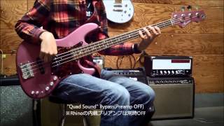 Freedom Custom Guitar ( フリーダムカスタムギターリサーチ ) SP 